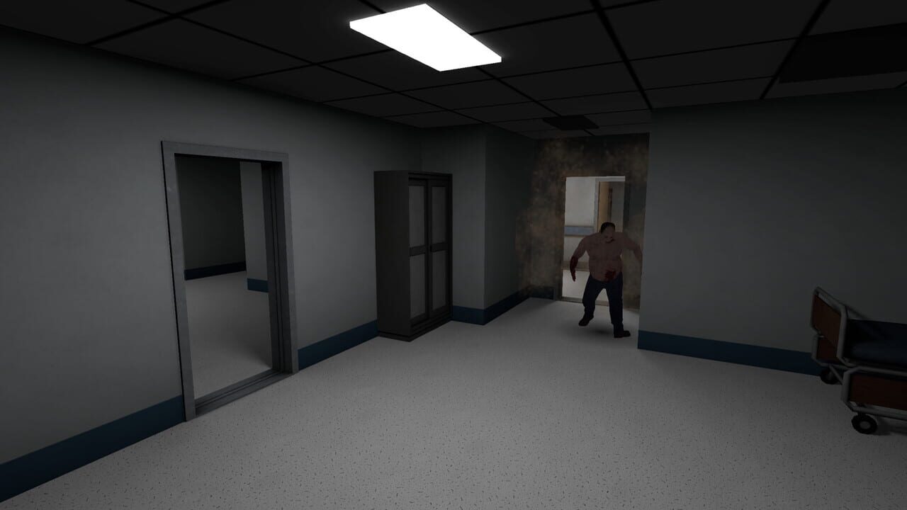 Project Z Image