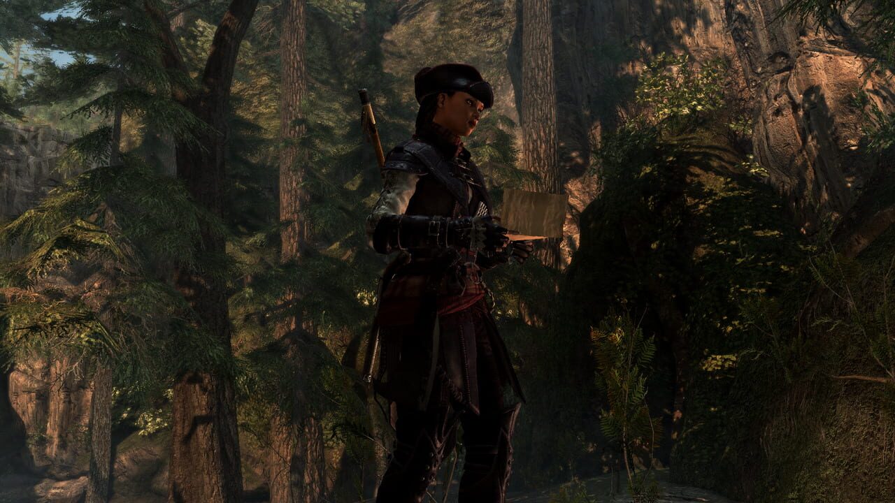 Assassin's Creed IV Black Flag: Aveline Image