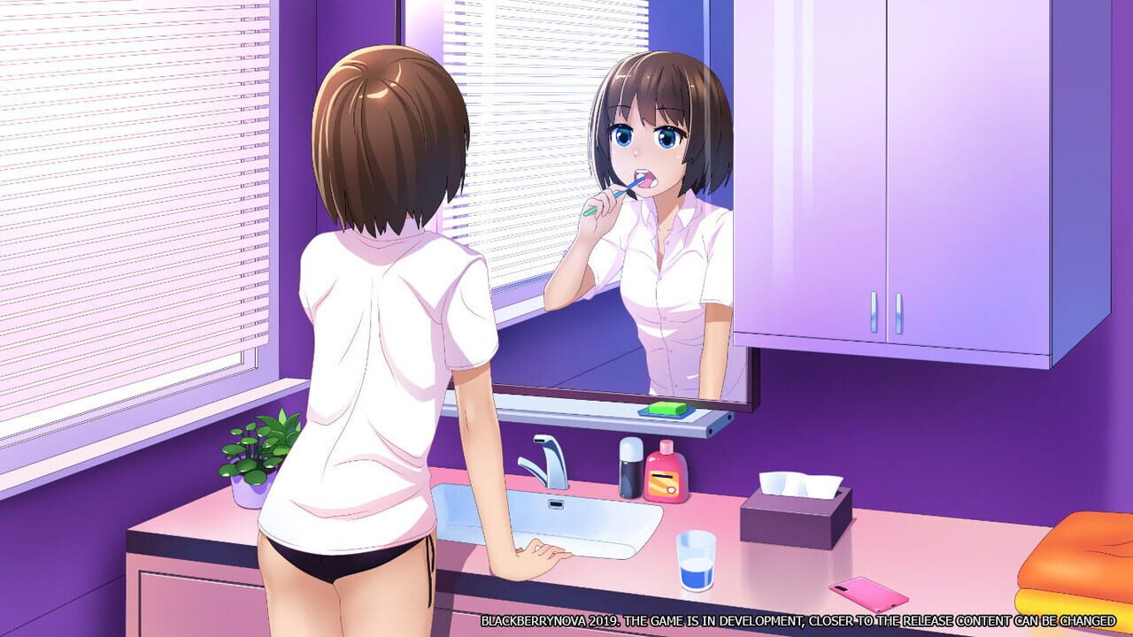 BlackberryNova Image