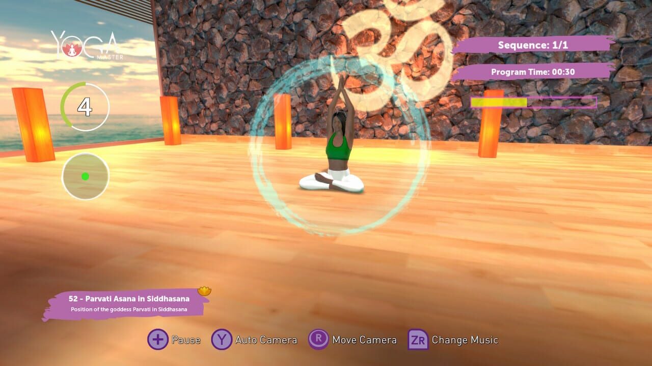 Yoga Master Image