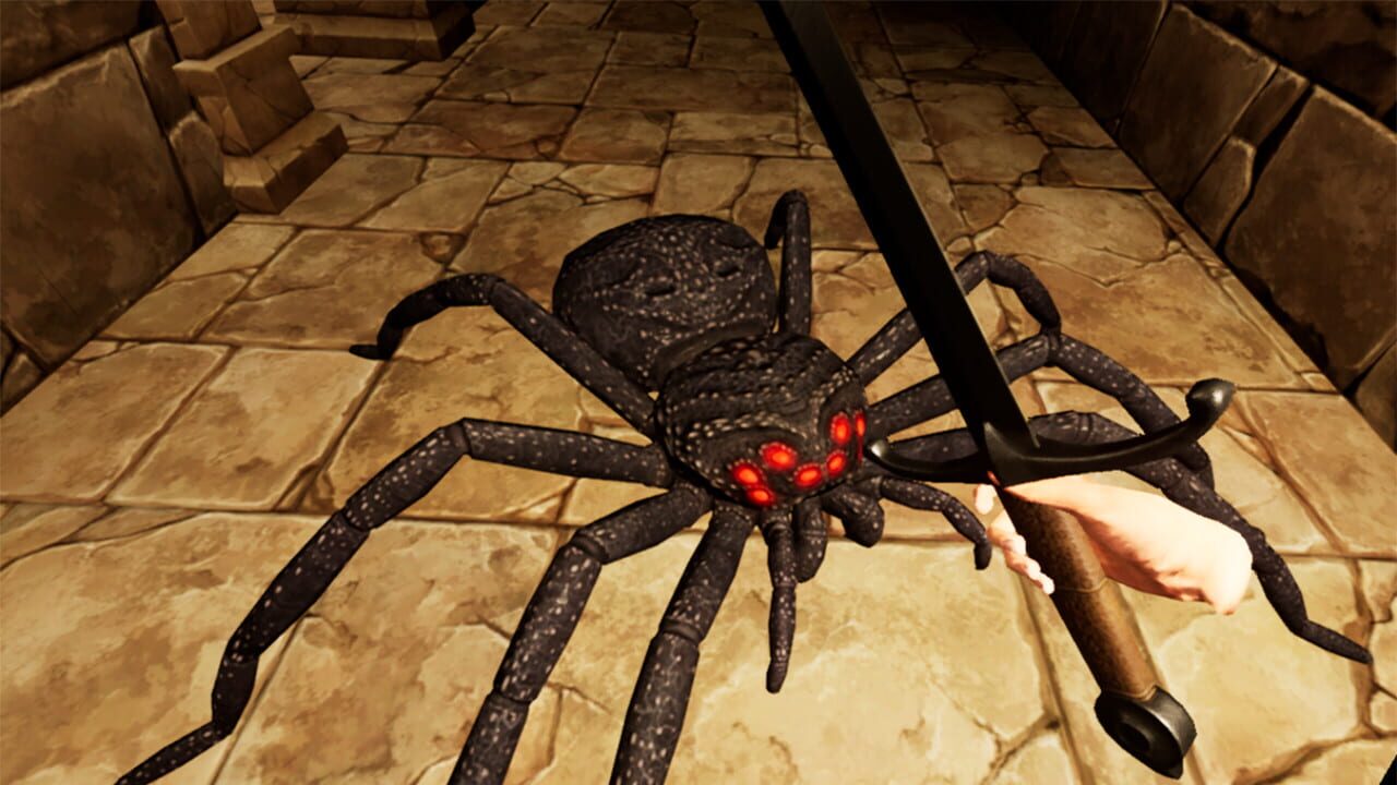 Spider Fear Image