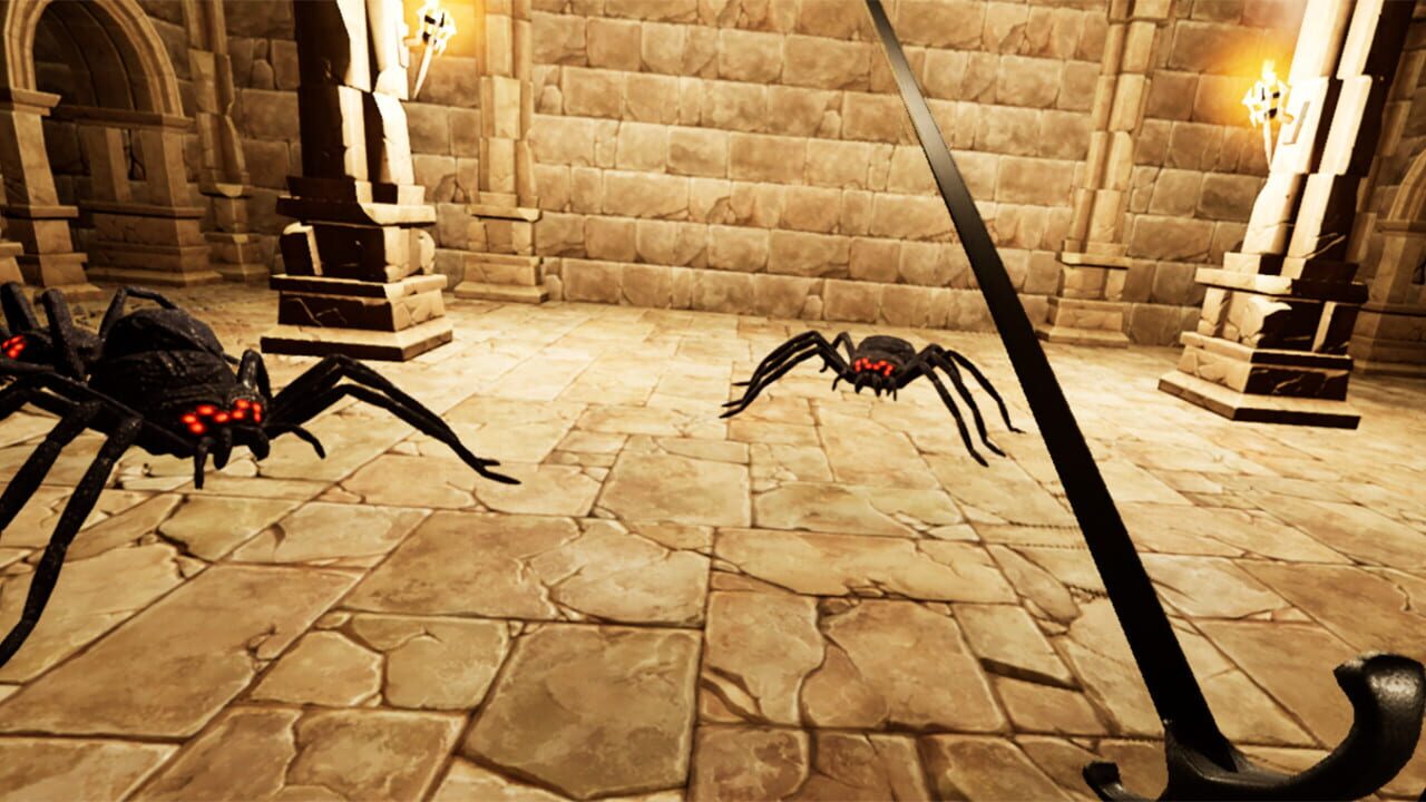 Spider Fear Image