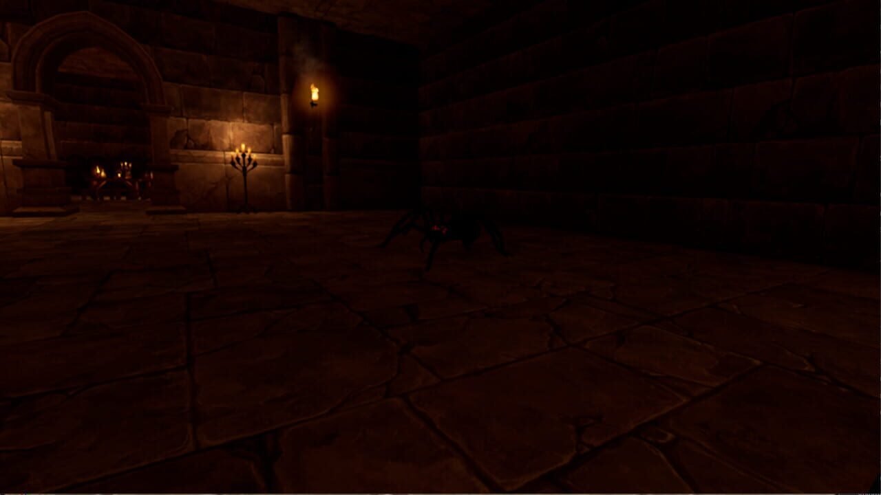Spider Fear Image