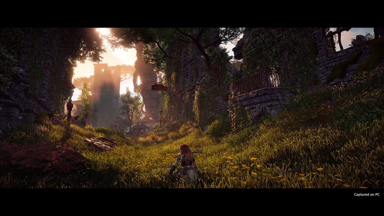 Screenshot 5 - Horizon: Zero Dawn