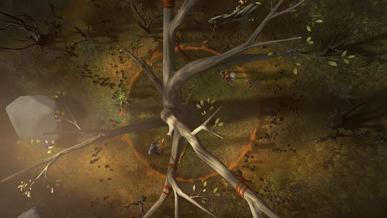 Everwild Image