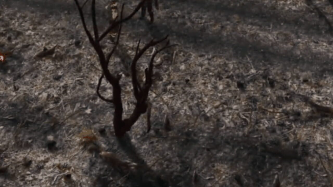 Natural Balance: Chronicles Screenshot 1