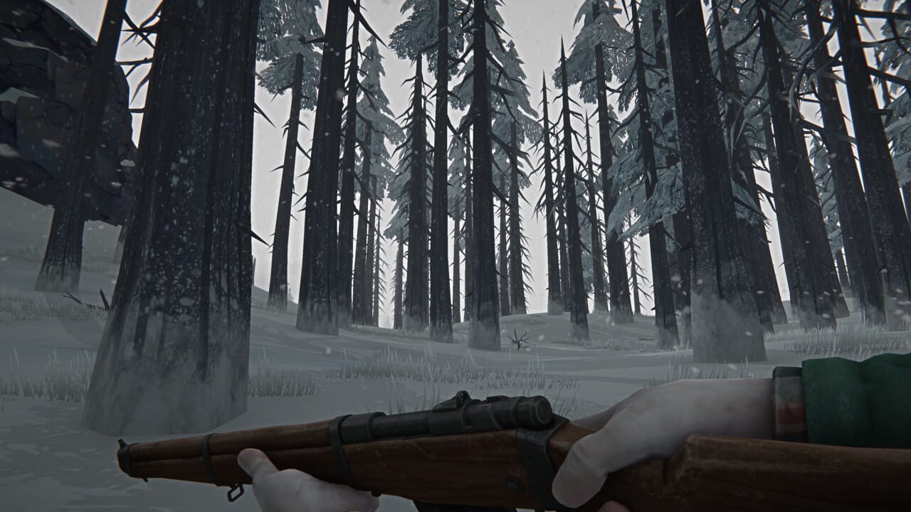 The Long Dark Image