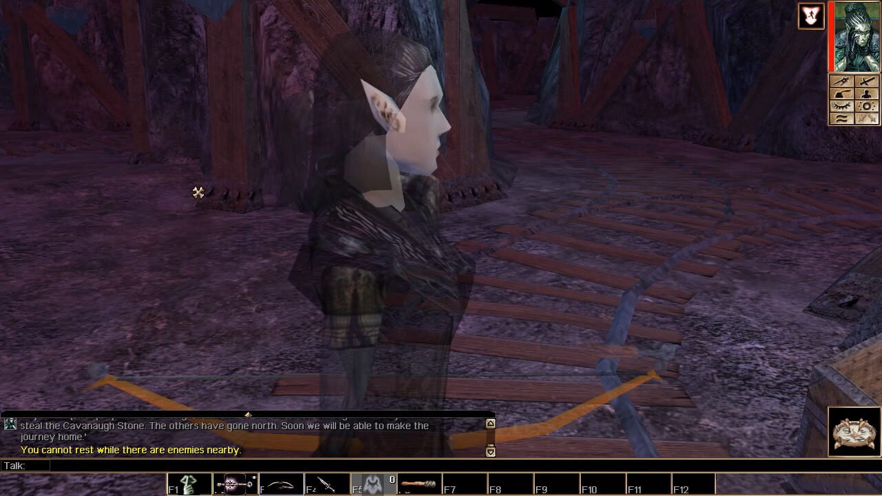 Neverwinter Nights: Witch's Wake Image