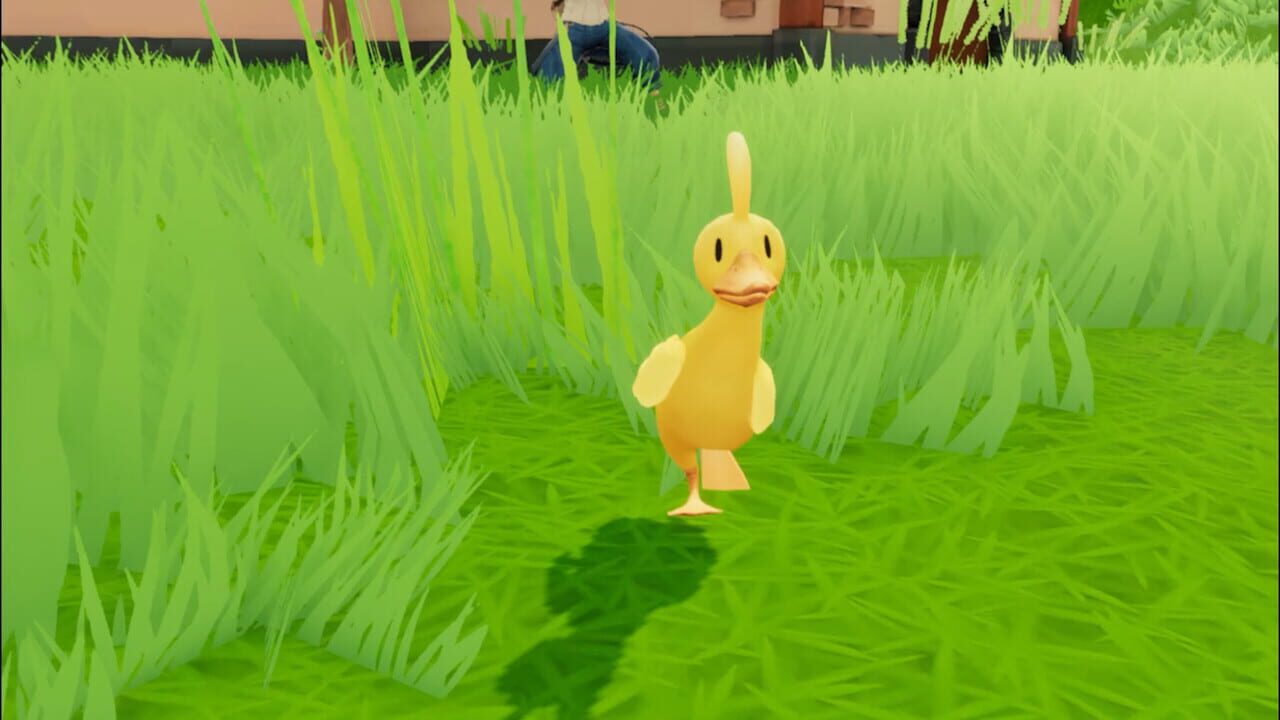 What the Duck Image
