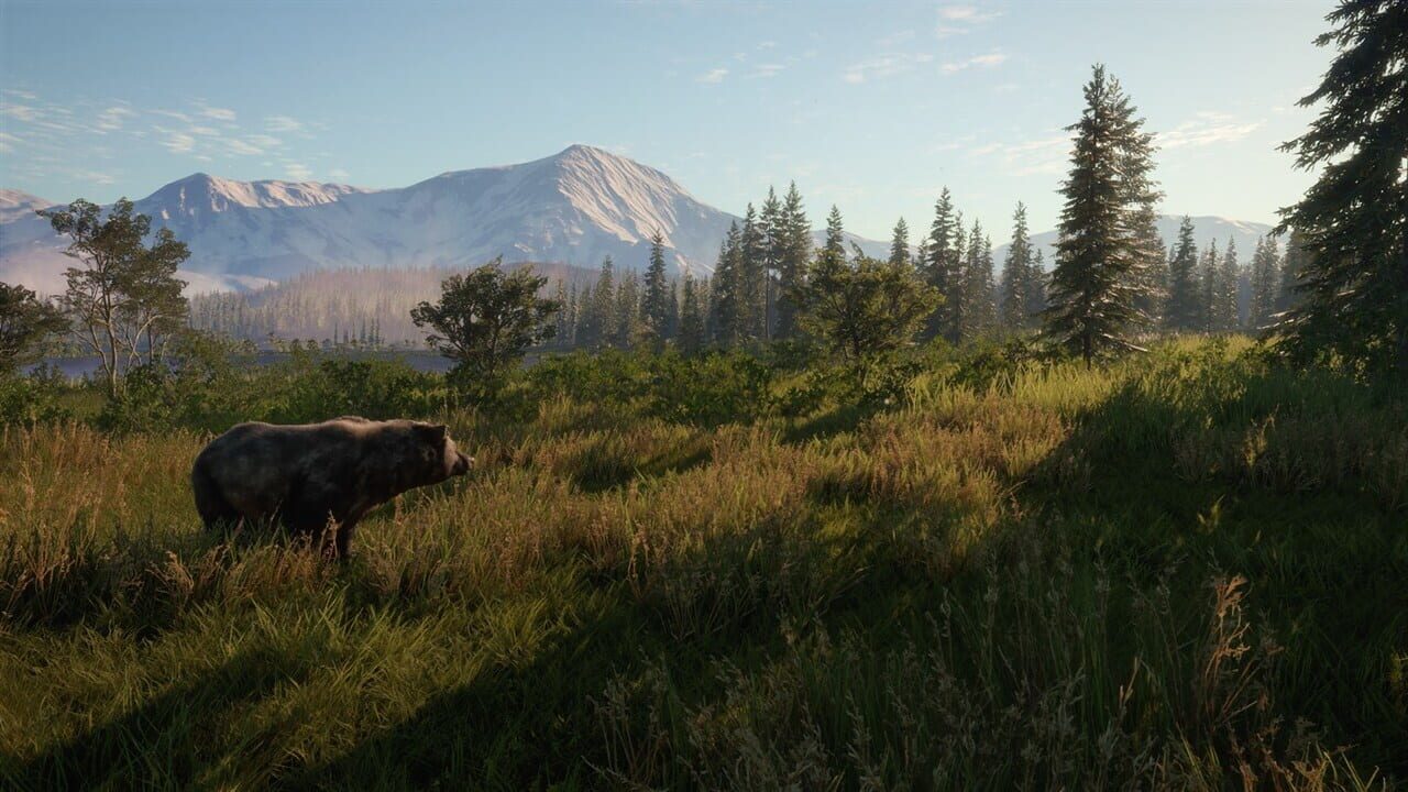 TheHunter: Call of the Wild - 2021 Edition Image