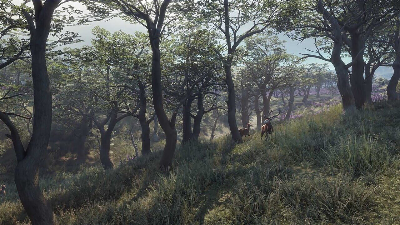 TheHunter: Call of the Wild - 2021 Edition Image