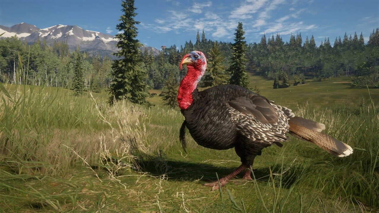 TheHunter: Call of the Wild - 2021 Edition Image