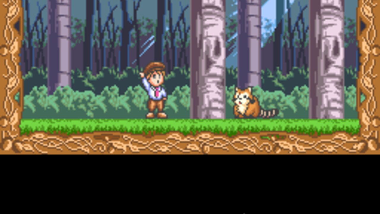 Raccoon Rascal — Screenshot 3