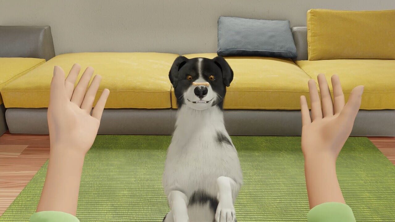 Dog Trainer — Screenshot 2