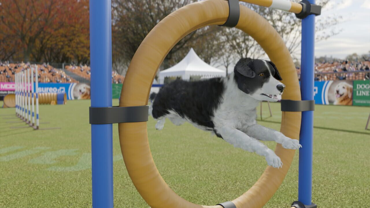 Dog Trainer — Screenshot 5
