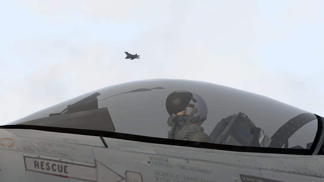 Falcon BMS Image