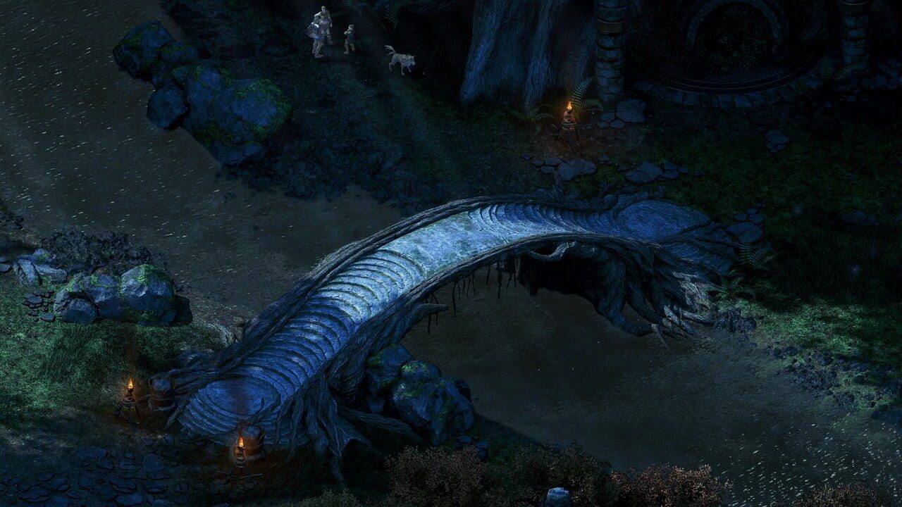 Pillars of Eternity: Hero Edition Image