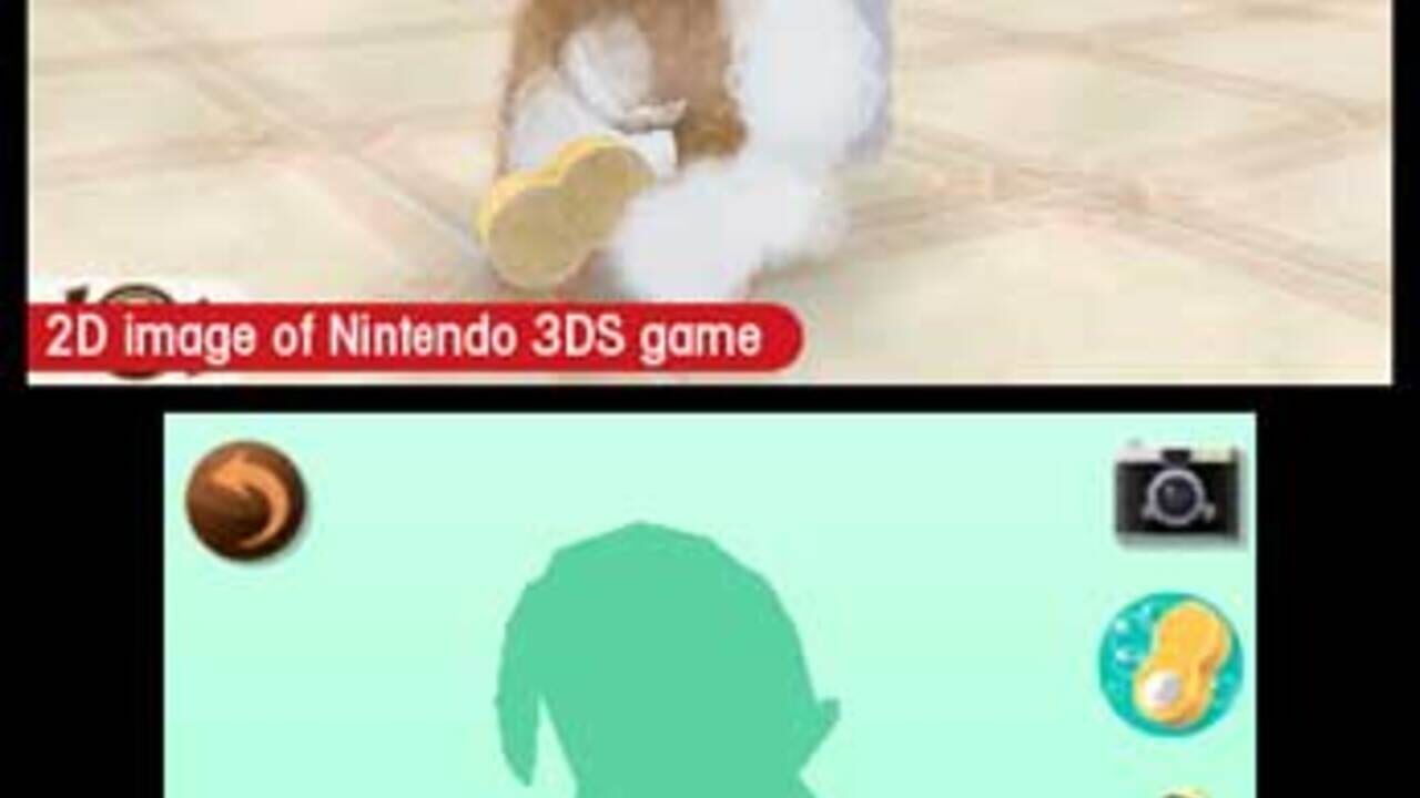 Nintendogs + Cats: Toy Poodle & New Friends — Screenshot 3