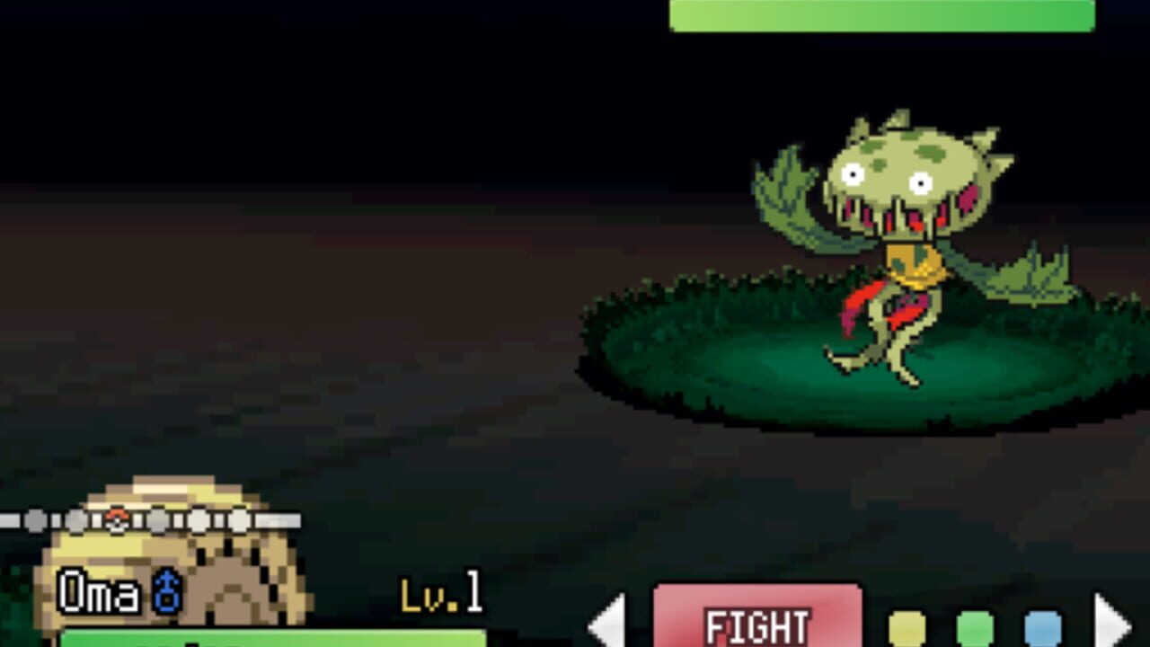 Pokémon D.W. — Screenshot 4