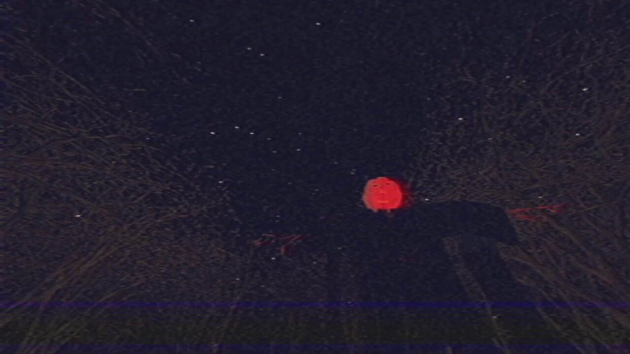 Night Dreams Image