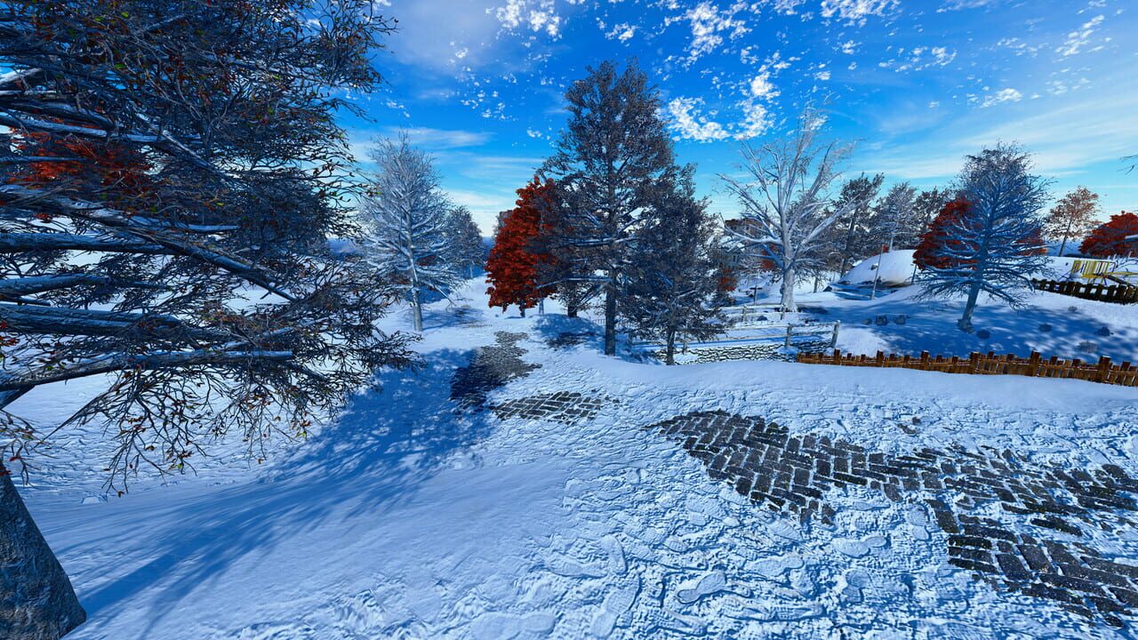 Snowballer Image