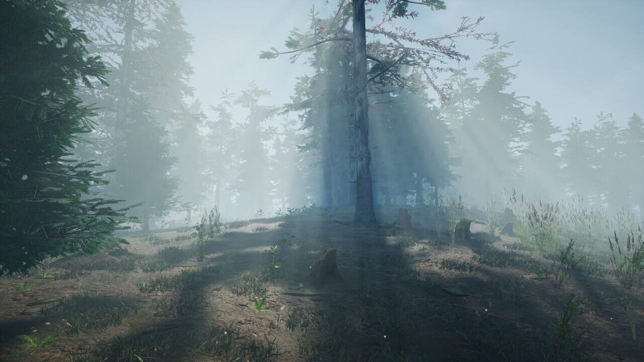 Mushroom Picker Simulator — Screenshot 1