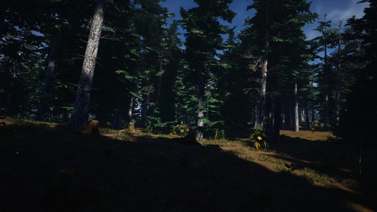 Mushroom Picker Simulator — Screenshot 5