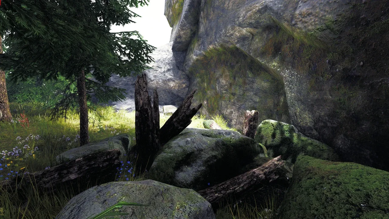 Undergrowth: VR Maze