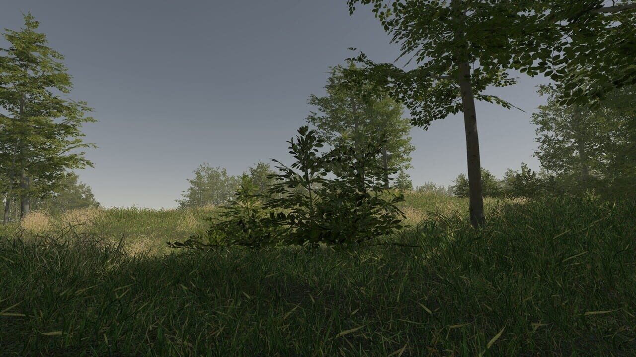 VR Walking Simulator Image