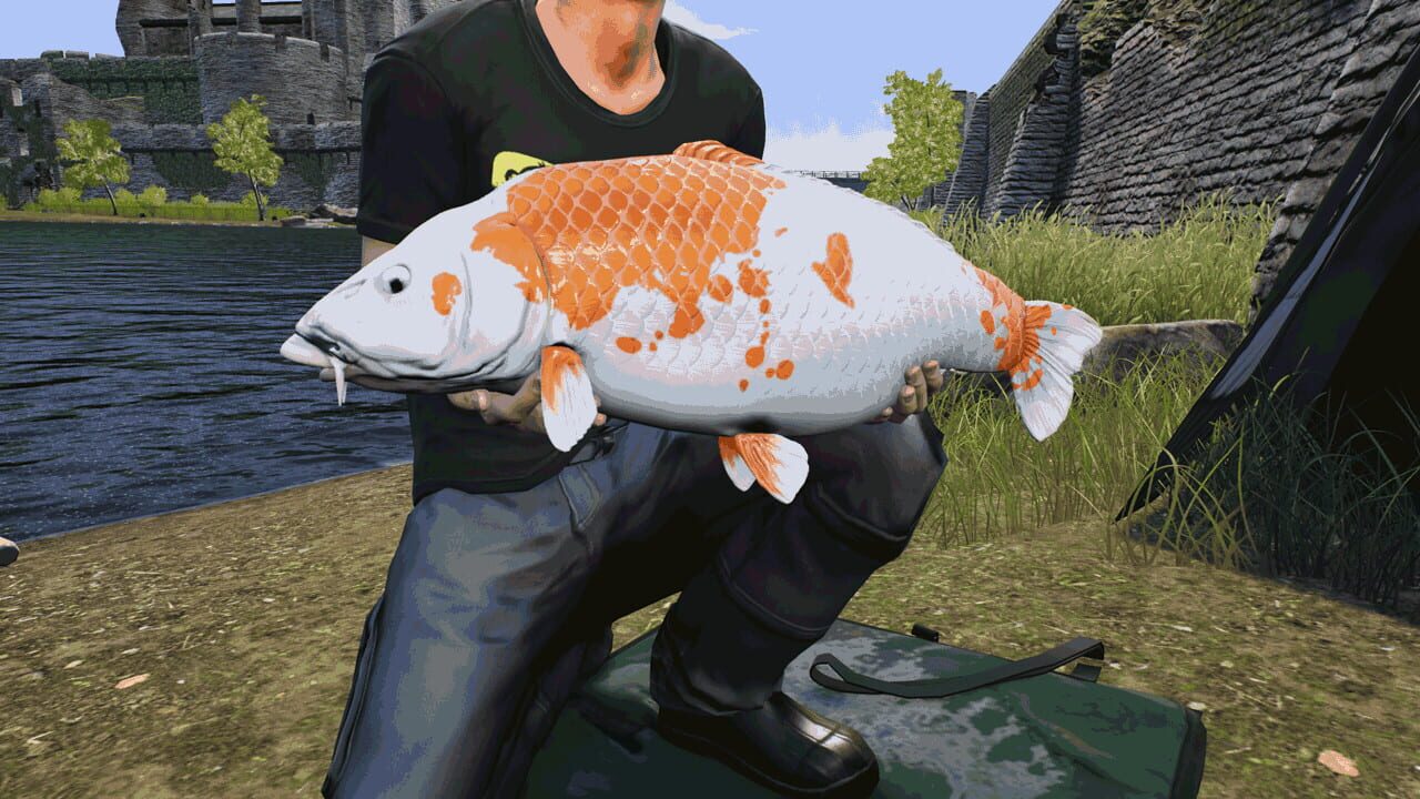 Euro Fishing: The Moat Image