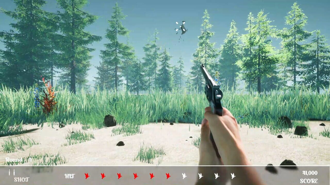 Duck Flighting Image
