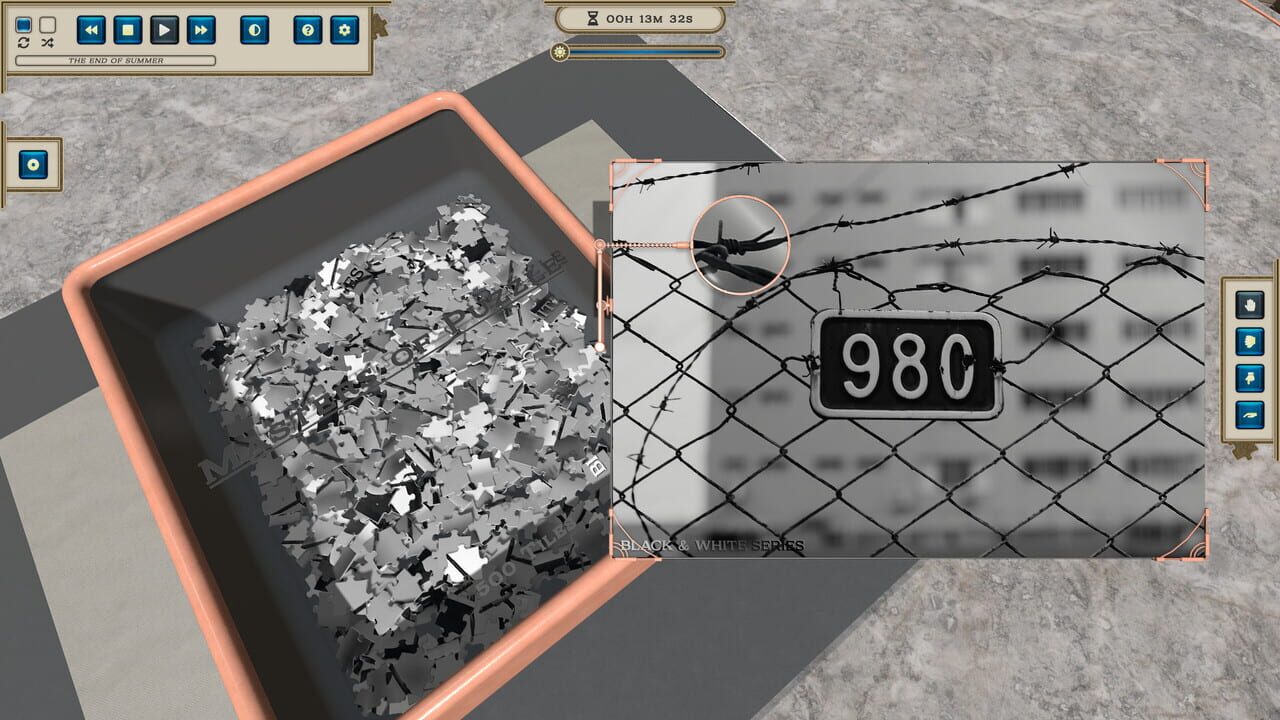Masters of Puzzle: Black and White - 980 Image