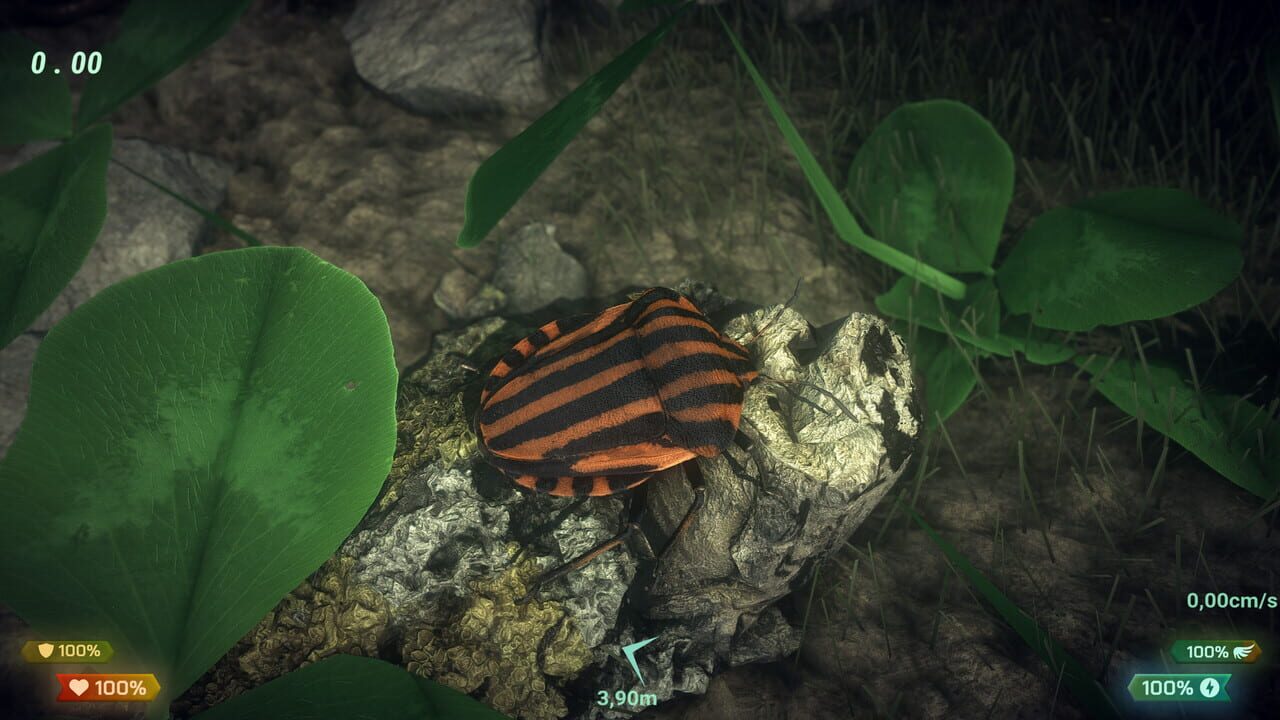 Insect Worlds screenshot 7