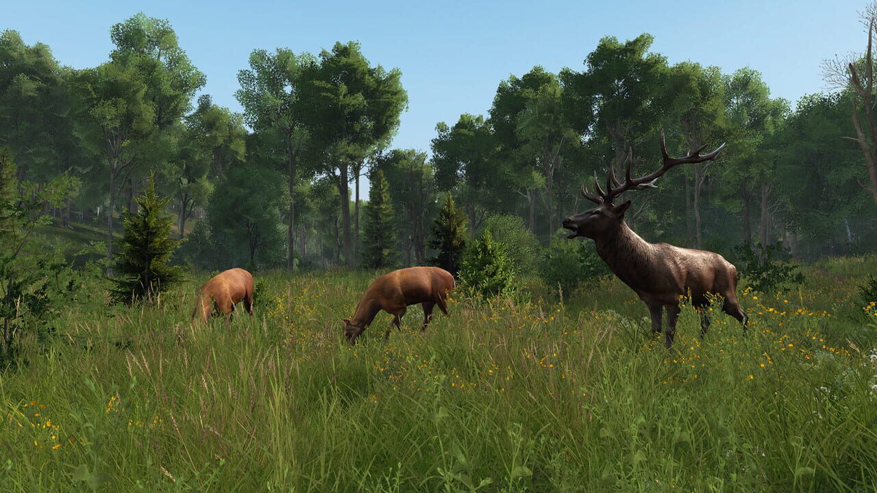 DayZ: Livonia Image