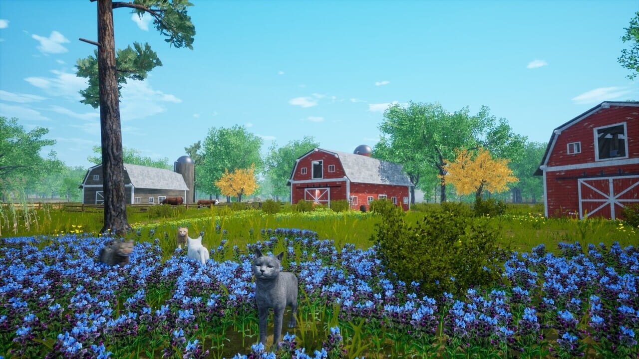 Cat Simulator: Meow Image
