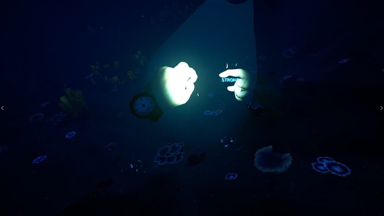 Bodies of Water VR Image