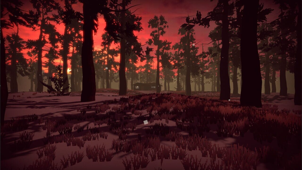 7th Chance Image