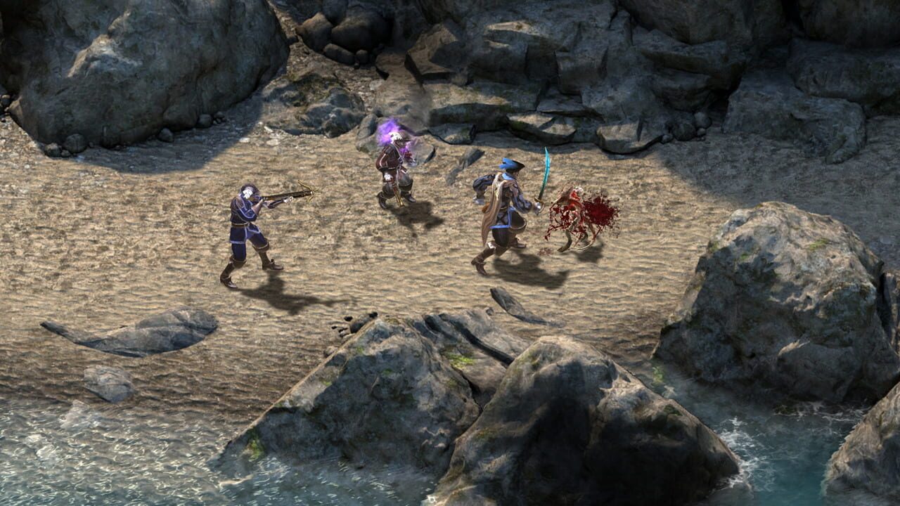 Pillars of Eternity: Definitive Edition Image