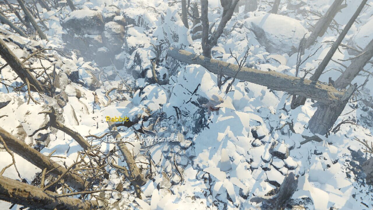 The Frosts: First Ones Image