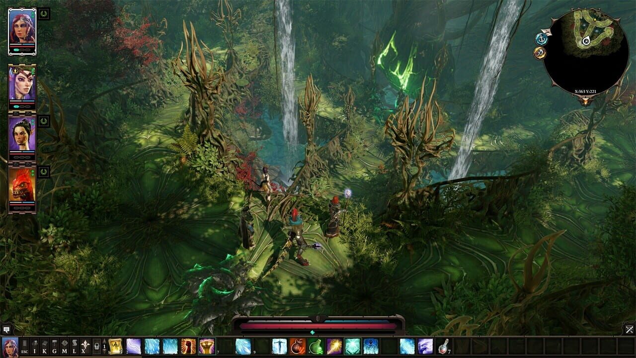 Divinity: Original Sin II - Divine Edition Image