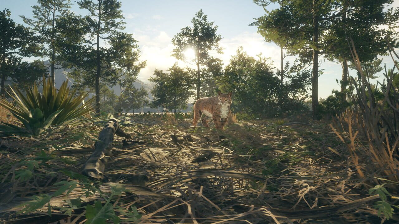 TheHunter: Call of the Wild - Rancho del Arroyo Image