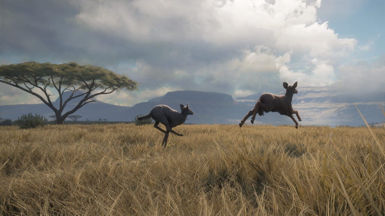 TheHunter: Call of the Wild - Vurhonga Savanna Image