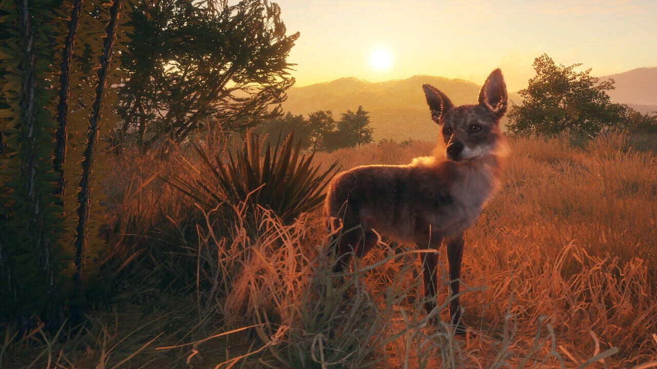 TheHunter: Call of the Wild - Rancho del Arroyo Image