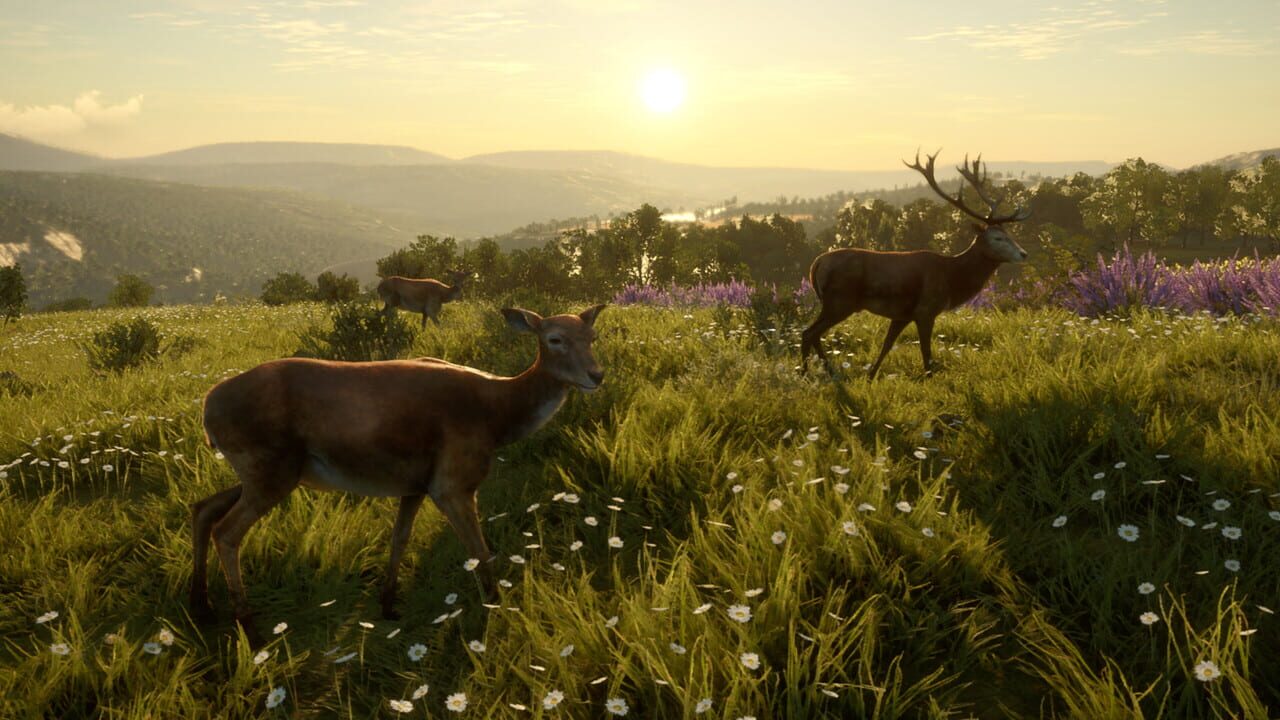 TheHunter: Call of the Wild - Cuatro Colinas Game Reserve Image