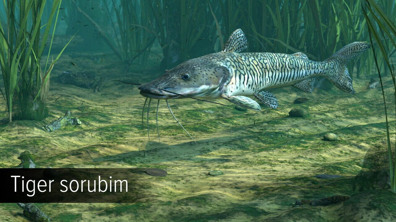 Ultimate Fishing Simulator: Amazon River Image