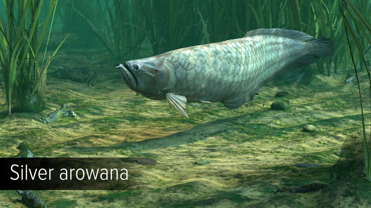 Ultimate Fishing Simulator: Amazon River Image