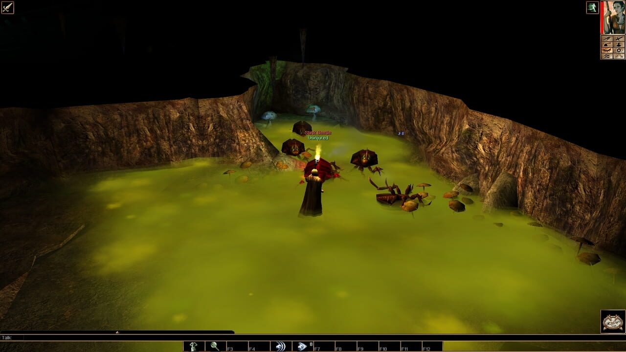 Neverwinter Nights: Dark Dreams of Furiae Image