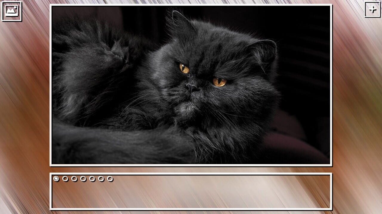 Super Jigsaw Puzzle: Generations - Cats Puzzles Image