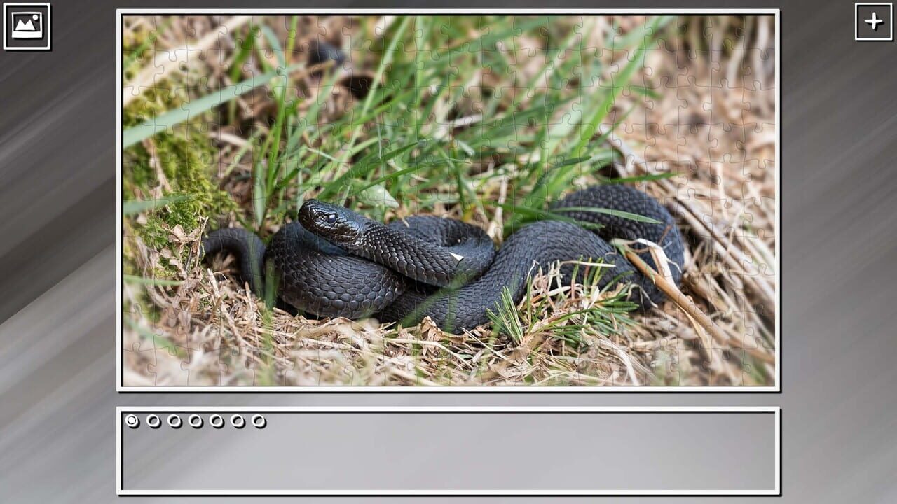 Super Jigsaw Puzzle: Generations - Snakes Puzzles Image