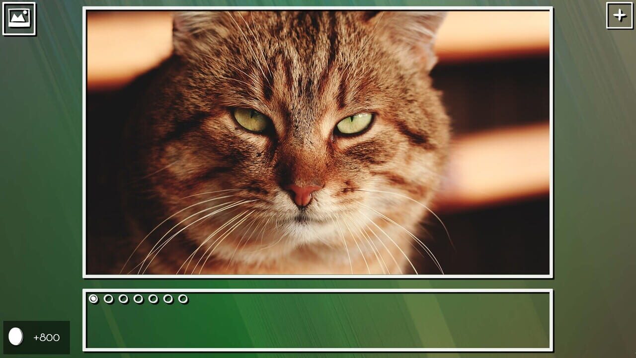 Super Jigsaw Puzzle: Generations - Cats Puzzles Image